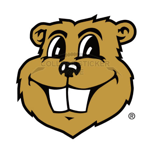 Personal Minnesota Golden Gophers Iron-on Transfers (Wall Stickers)NO.5102